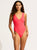 Seafolly SeaDive Deep V Neck One Piece