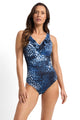Jantzen Mood DD/E Mesh Frill One Piece