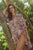 Jantzen Lilymaze Button Through Shirt