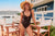 Baku Positano Retro One Piece